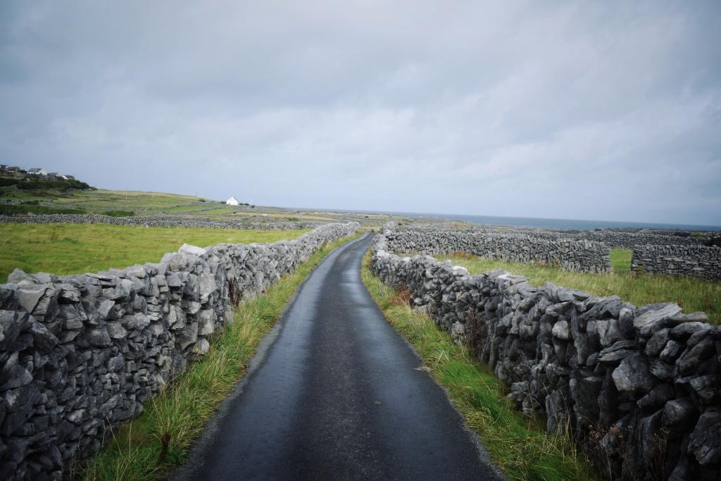 stone walls in irish fields 1024x683 1