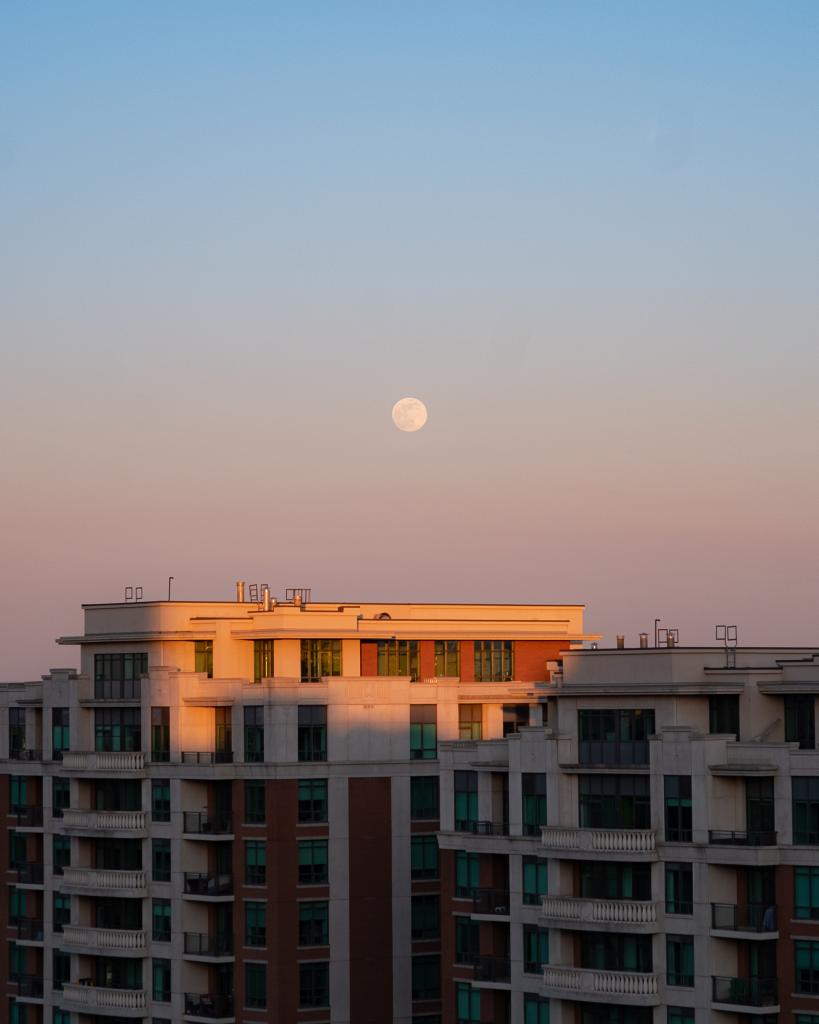 a full moon over buildings 819x1024 1