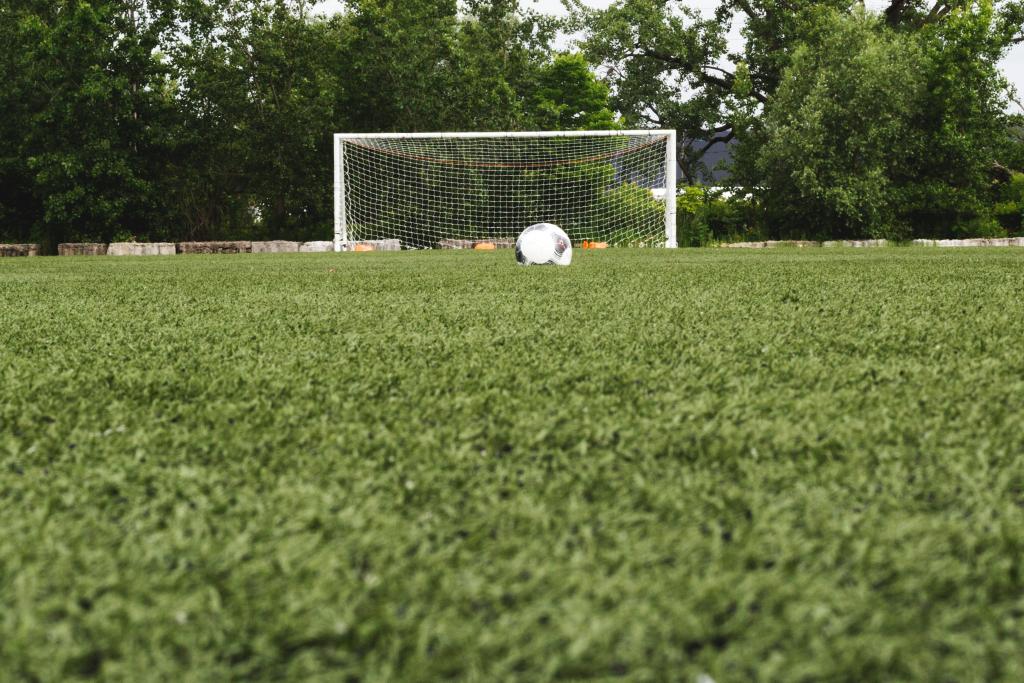 soccer ball in field with net 1024x683 1