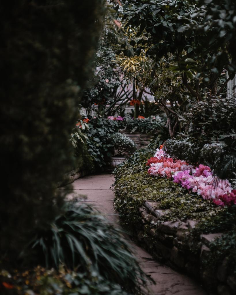 lush garden pathway 819x1024 1